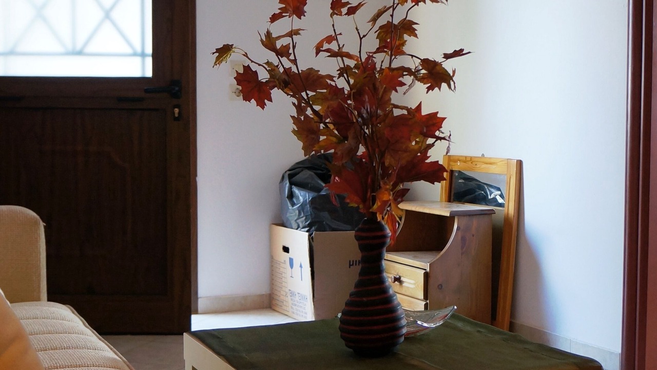 Photo of Livingroom in Fira