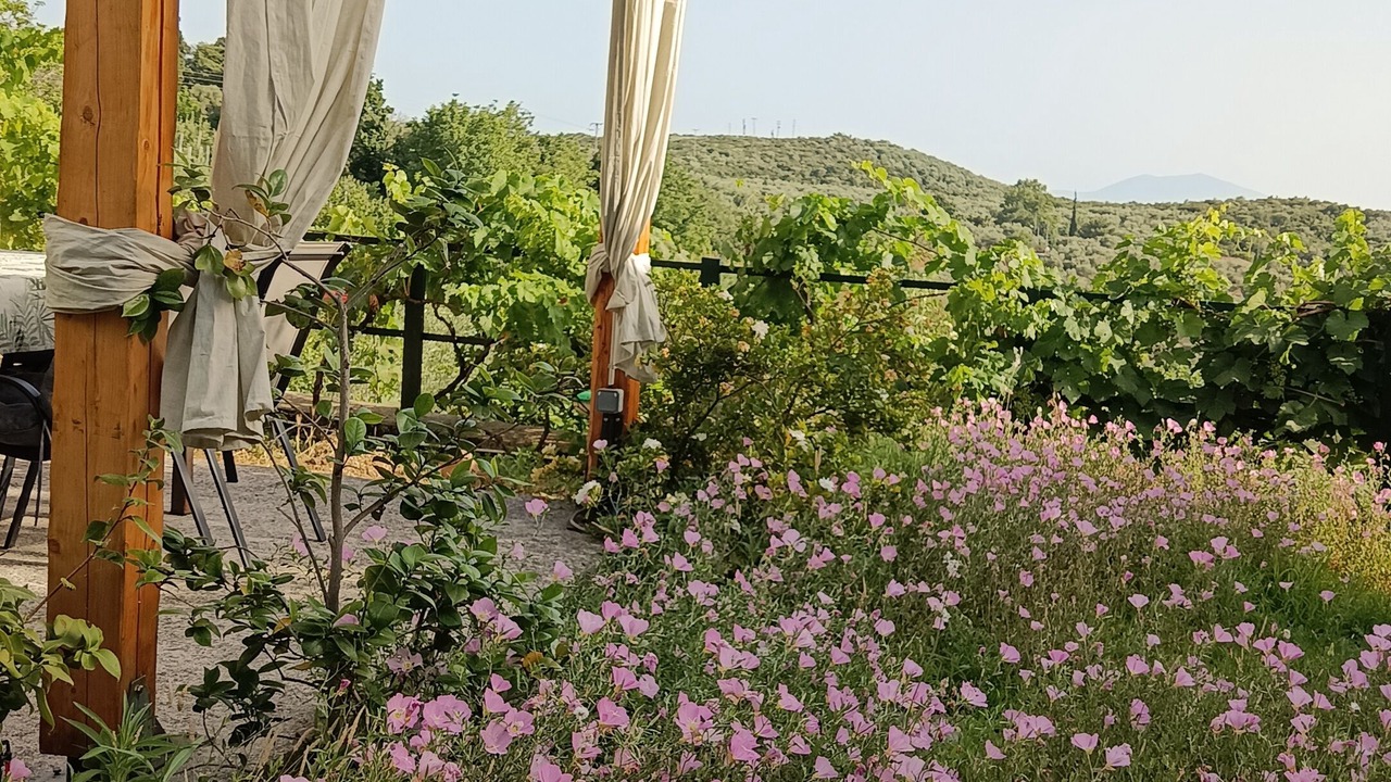 Photo of Patio Balcony in Agios Vlassios