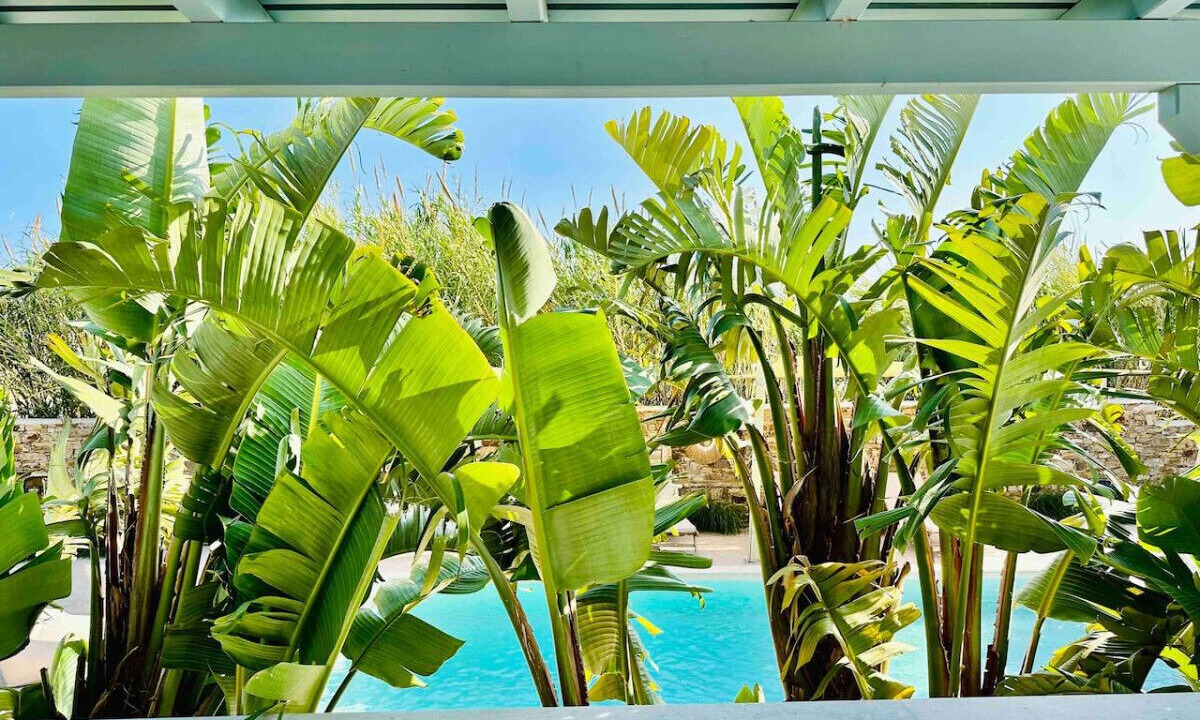 Photo of Outdoor in Maragas