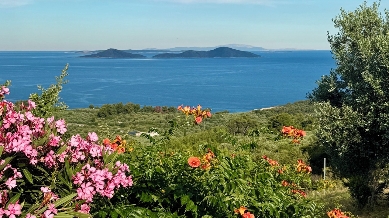 Photo of Others in Alonissos