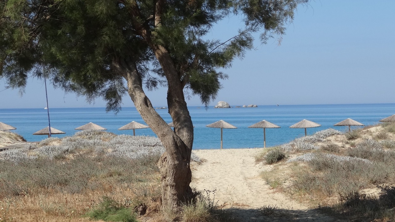 Photo of Others in Plaka
