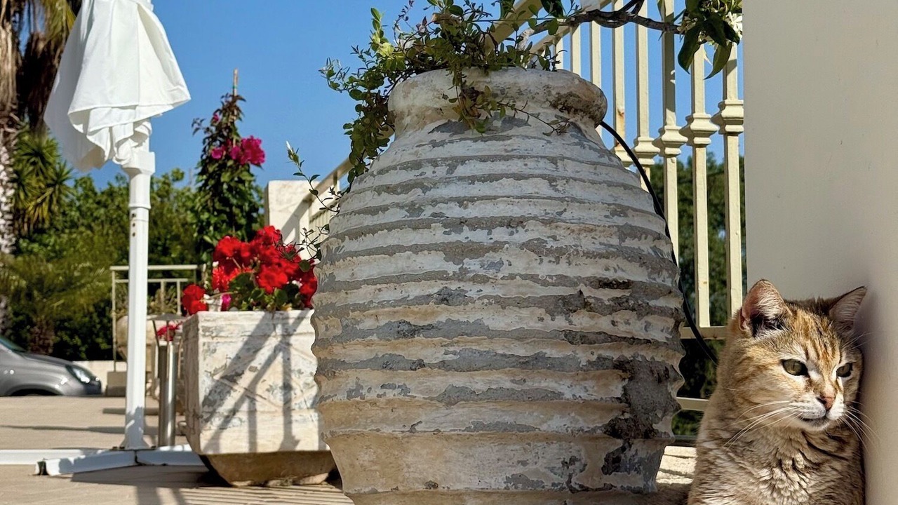Photo of Outdoor in Korianna