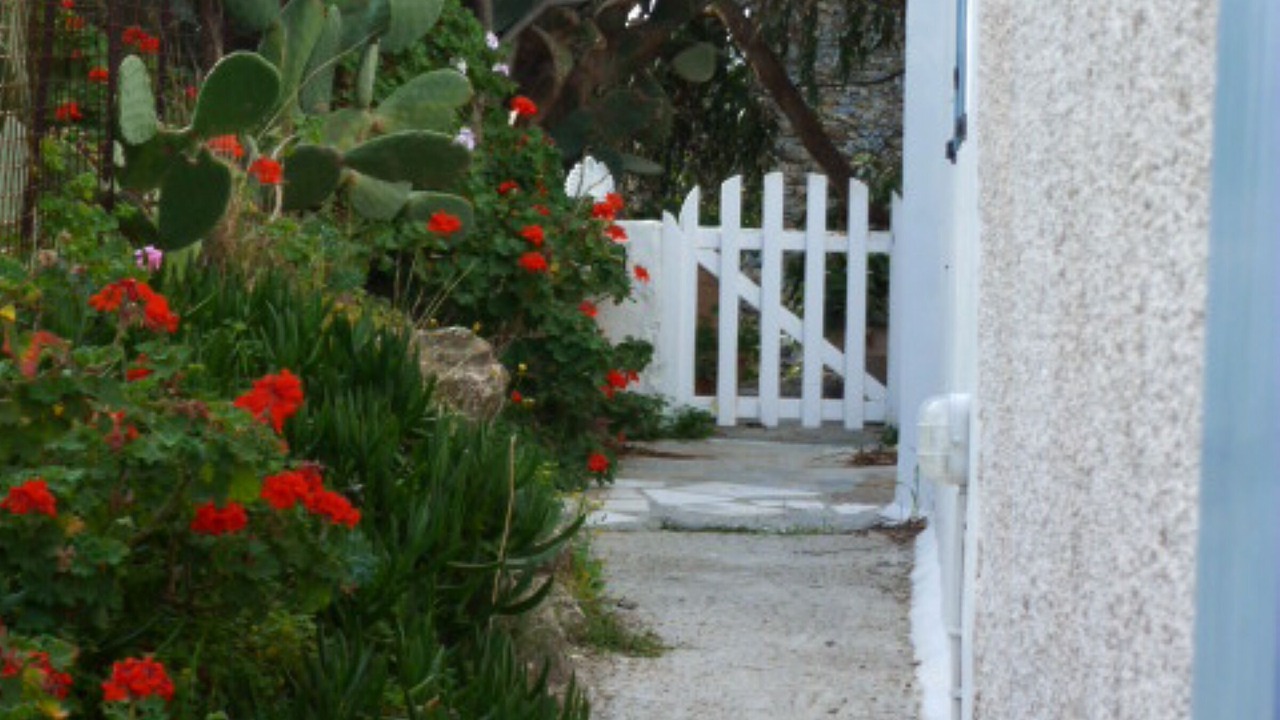 Photo of Others in Mykonos Town