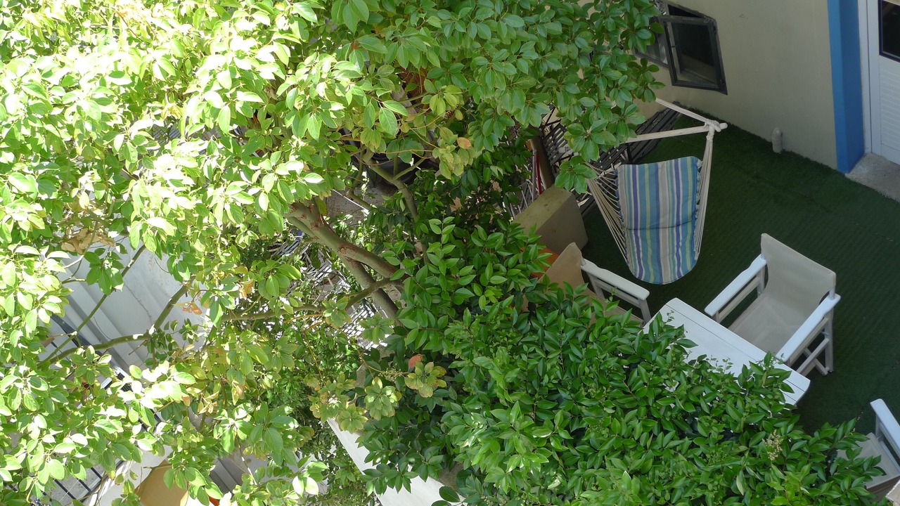 Photo of Outdoor in Athens