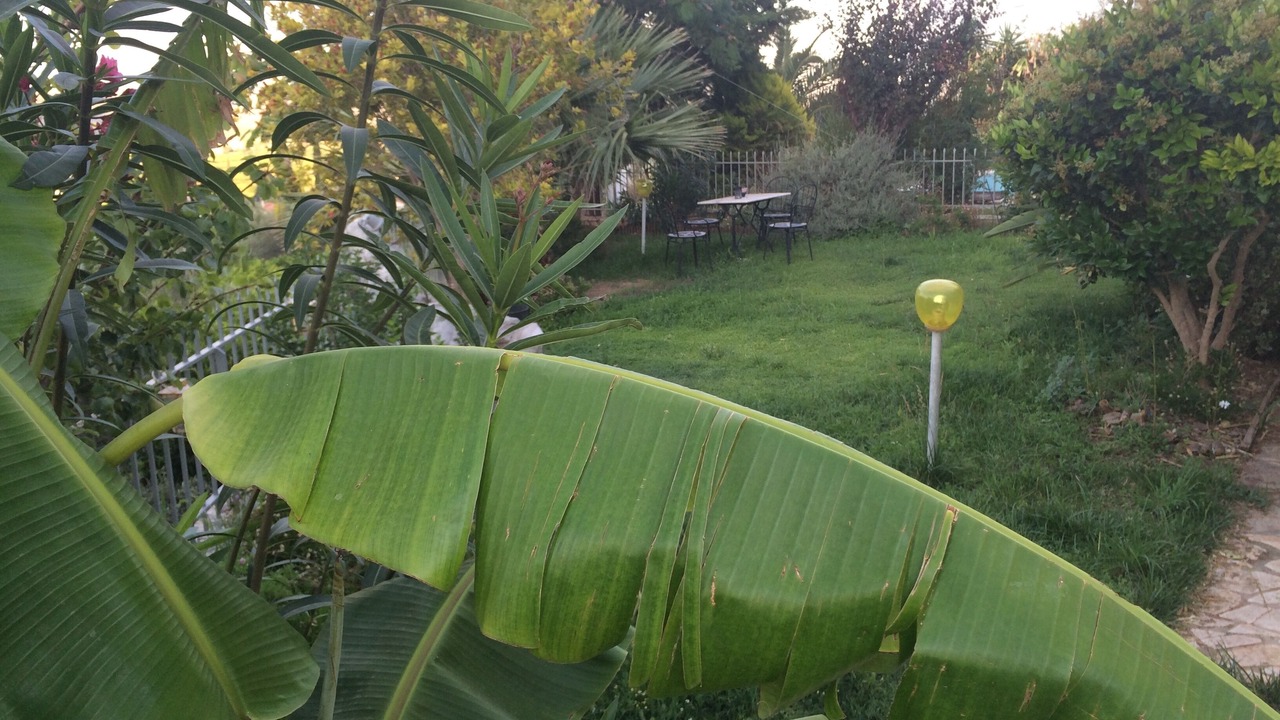 Photo of Outdoor in Asini