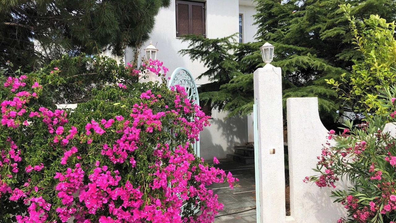 Photo of Outdoor in Ormos Agiou Ioannou