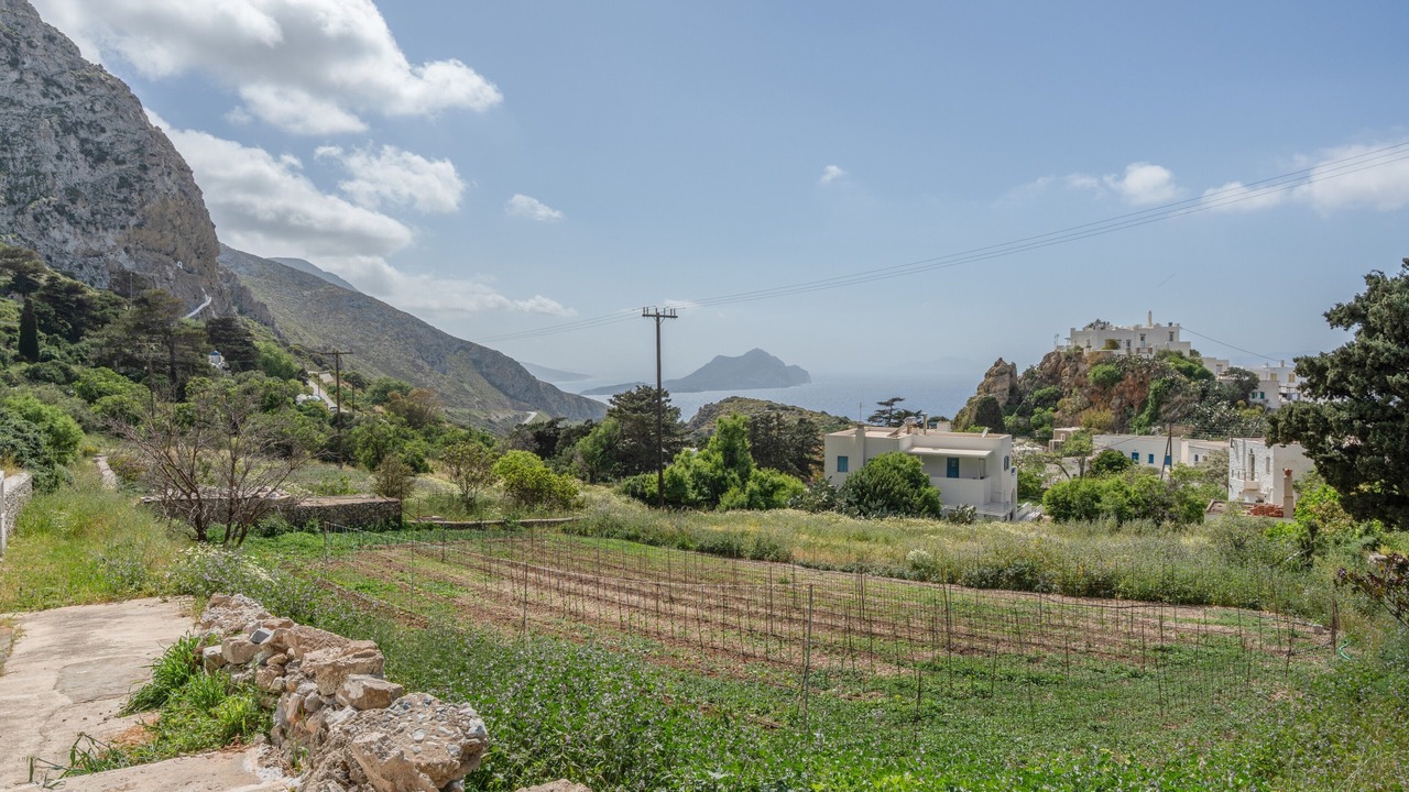 Photo of Others in Aegiali