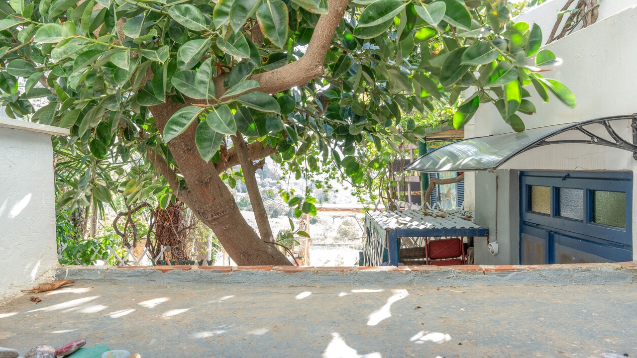Photo of Outdoor in Aegiali