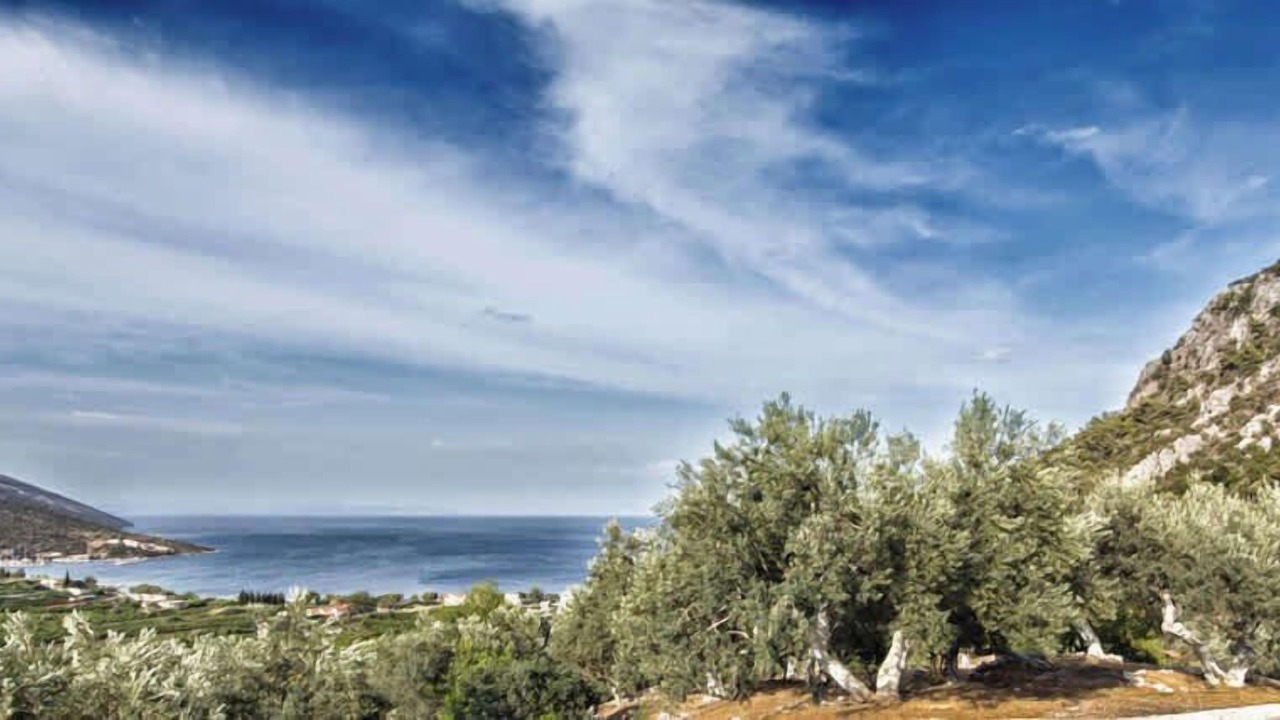 Photo of Others in Melissopetra