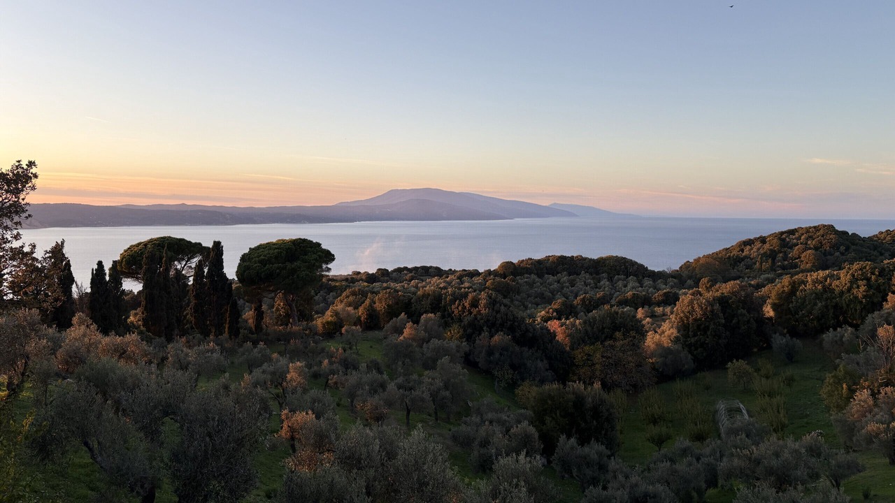 Photo of Others in Skiathos