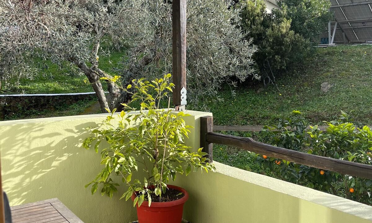 Photo of Patio Balcony in Skiathos