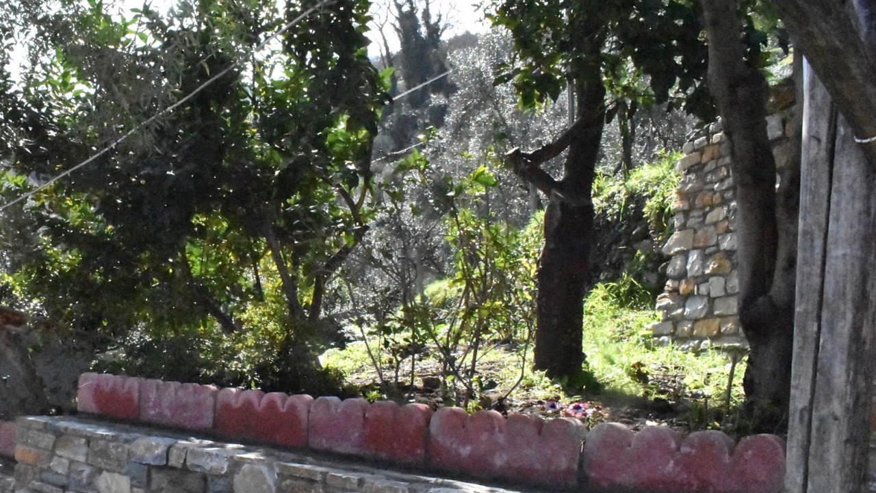 Photo of Outdoor in Ovrios