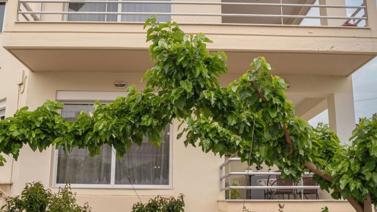 Photo of Outdoor in Nees Pagases