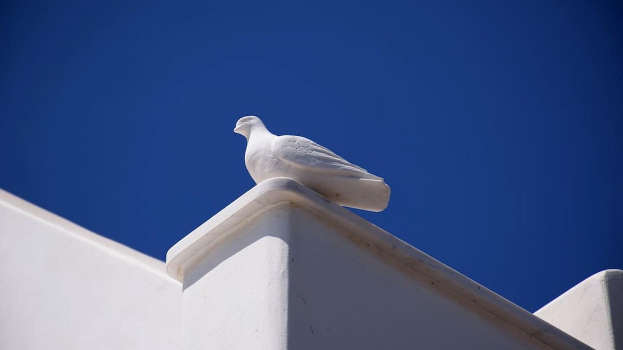Photo of Outdoor in Panormos