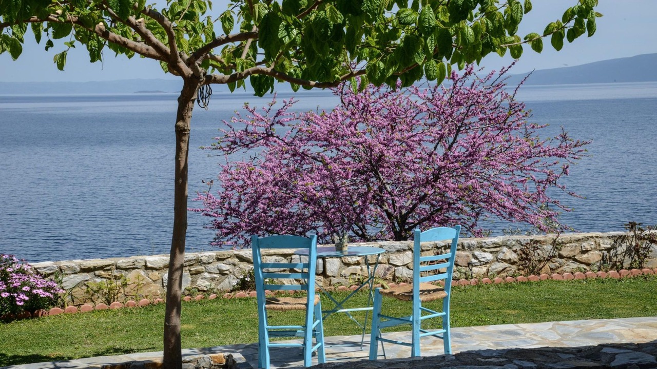 Photo of Outdoor in Sourpi