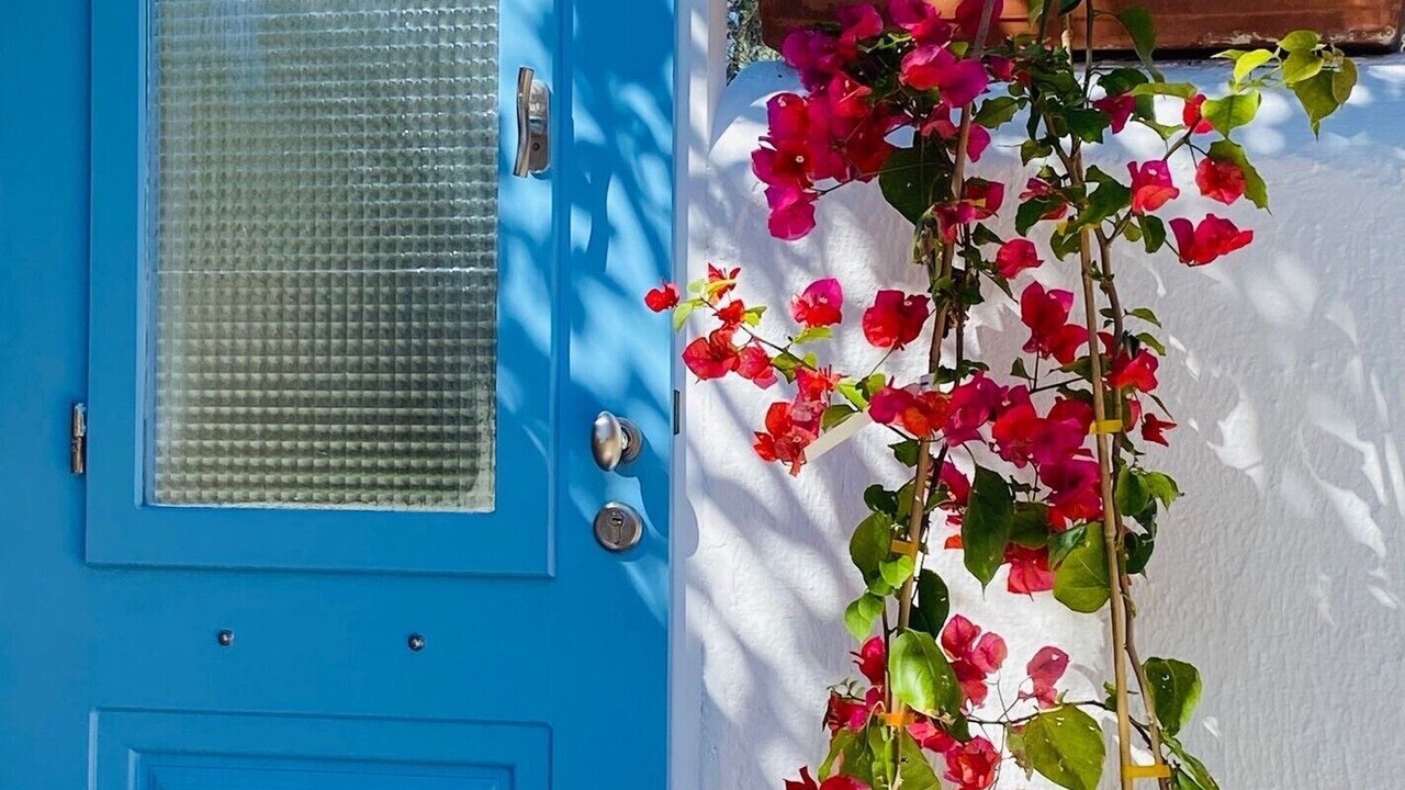 Photo of Outdoor in Ireon