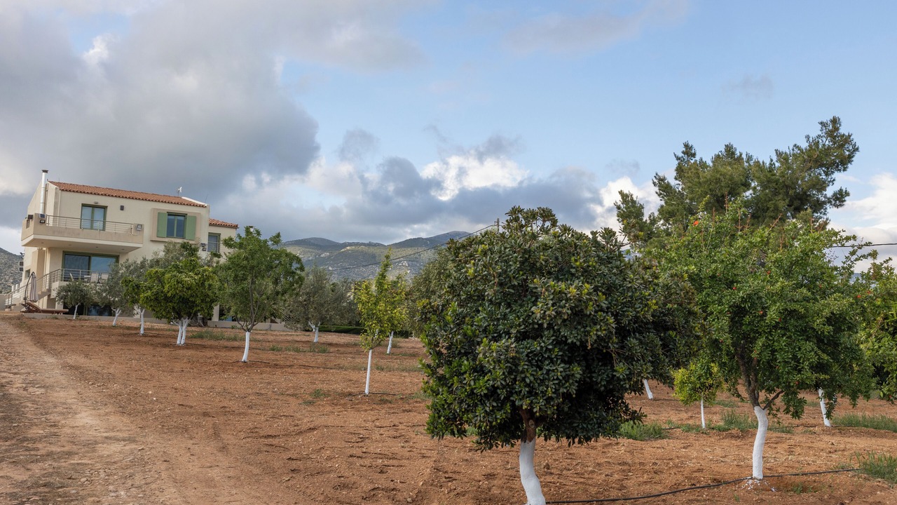 Photo of Outdoor in Megara