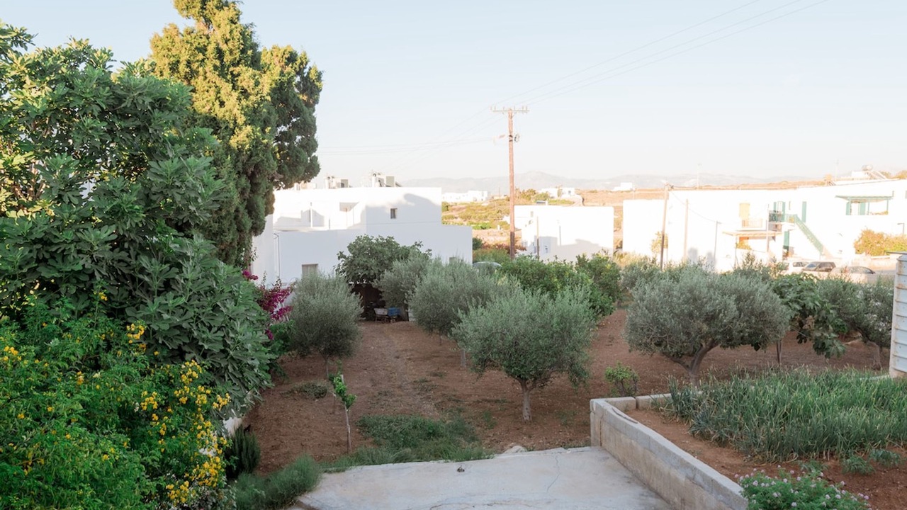 Photo of Outdoor in Naousa