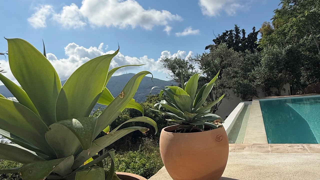 Photo of Outdoor in Skopelos