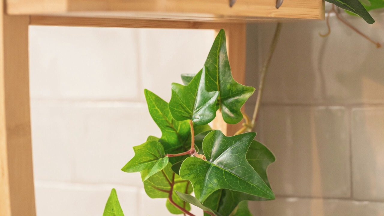 Photo of Bathroom in Kokkari