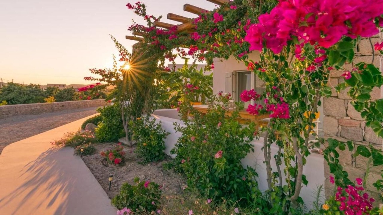 Photo of Outdoor in Milos
