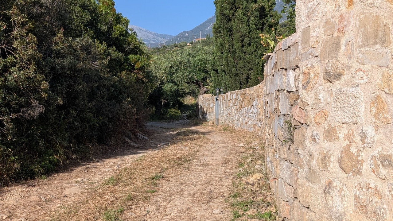 Photo of Others in Kardamyli