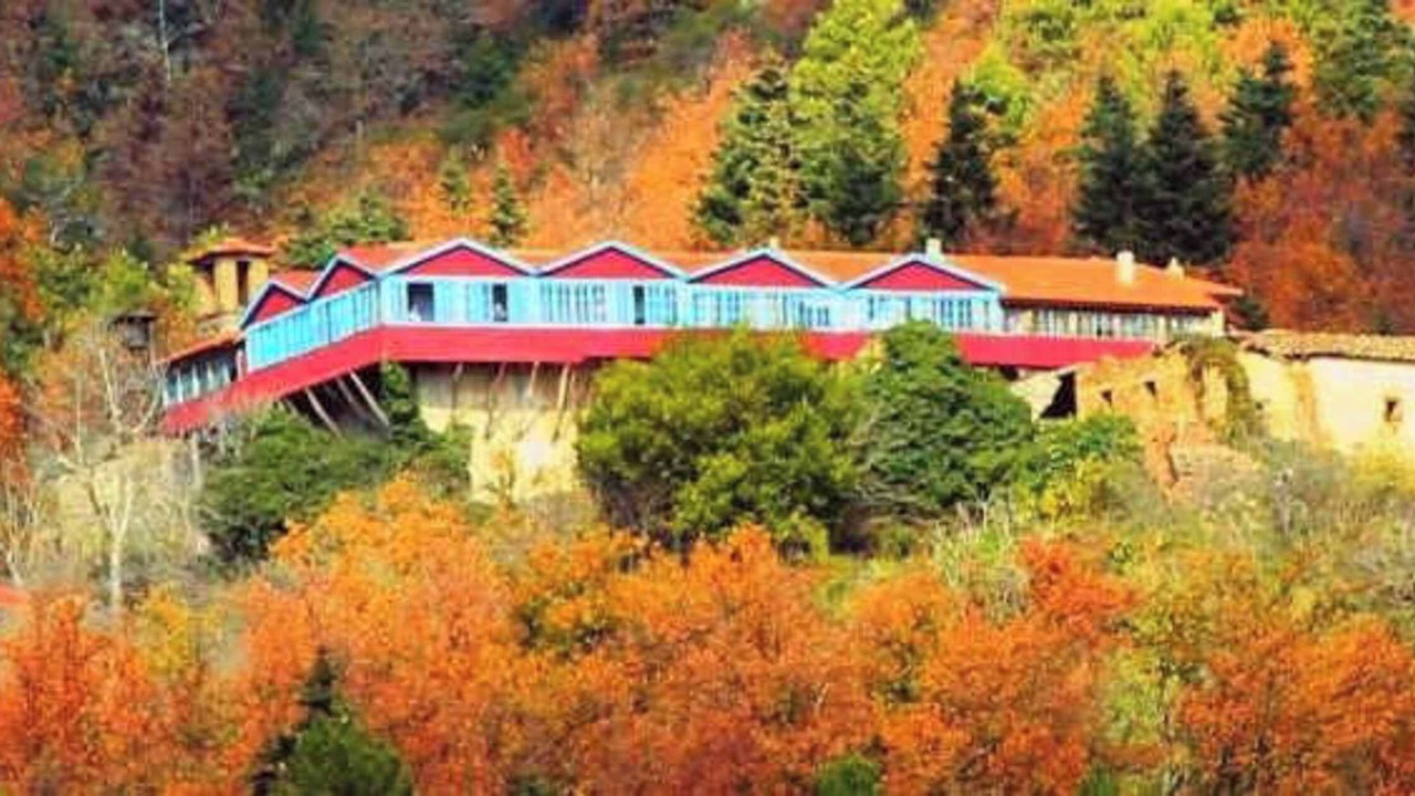 Photo of Outdoor in Goura