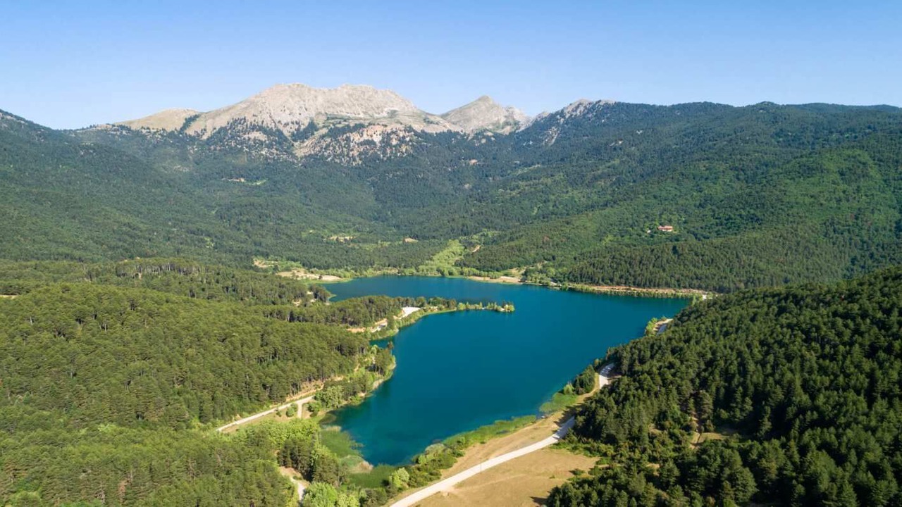 Photo of Outdoor in Goura
