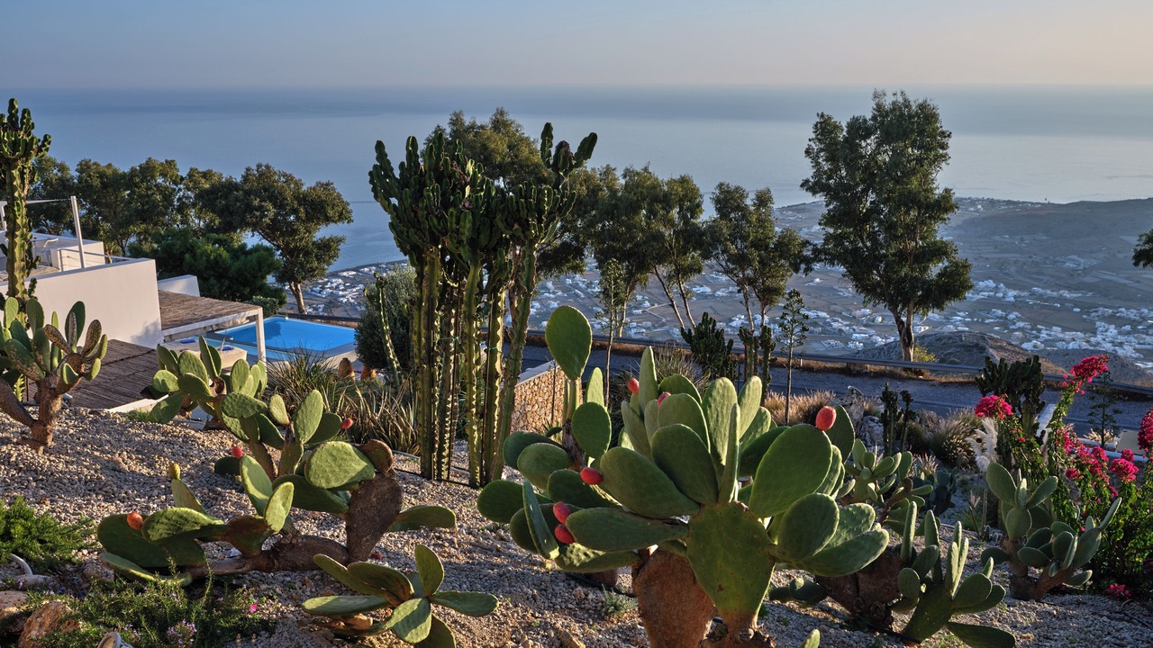 Photo of Outdoor in Santorini