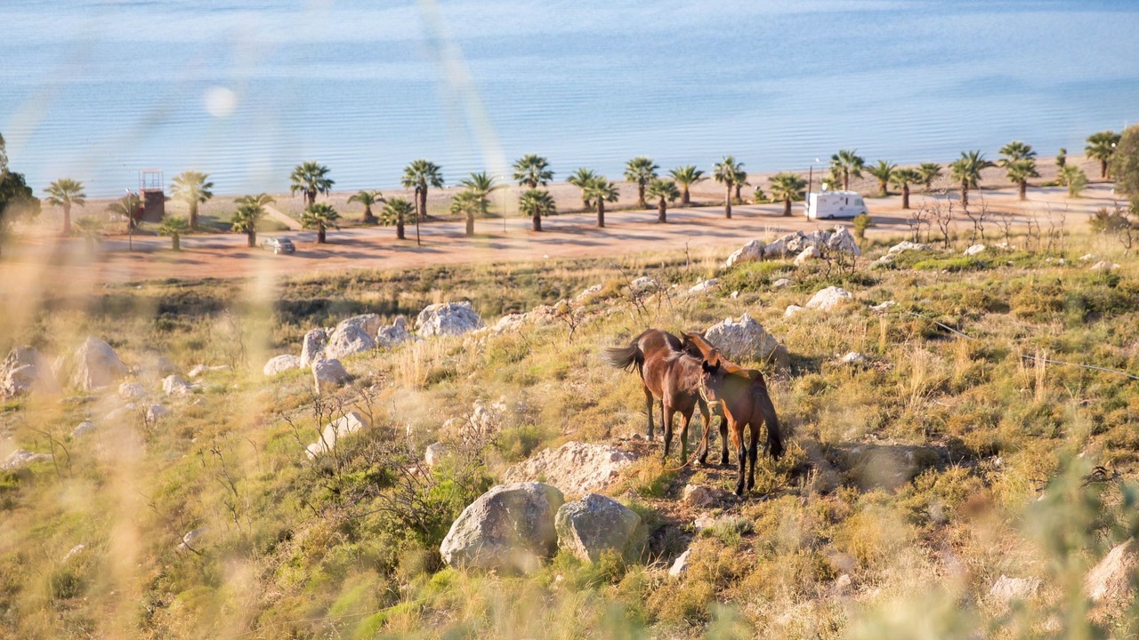 Photo of Others in Kiveri