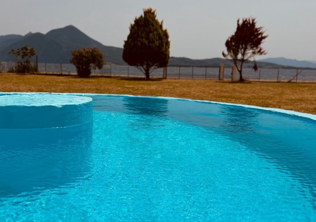 Photo of Outdoor in Stylida