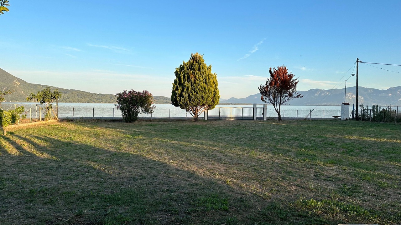Photo of Outdoor in Stylida