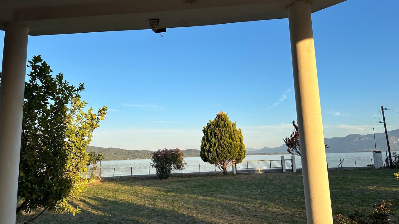 Photo of Outdoor in Stylida
