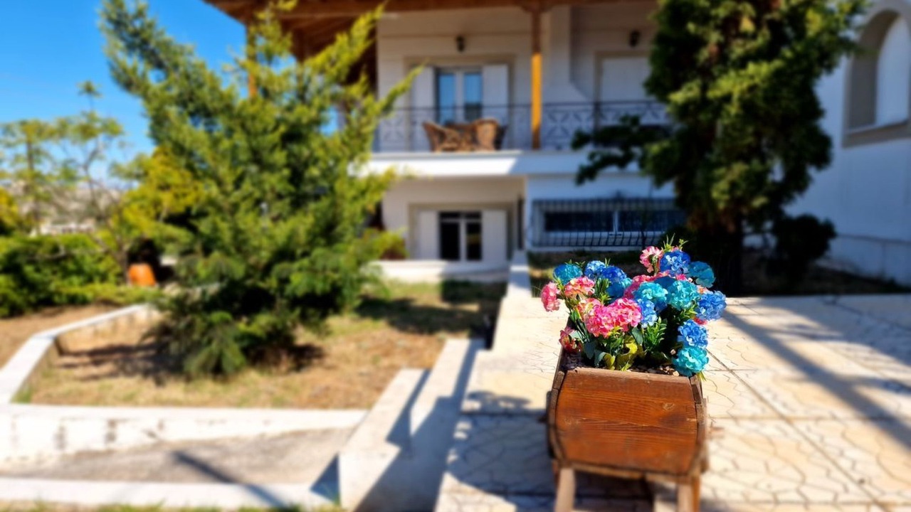 Photo of Others in Porto Rafti