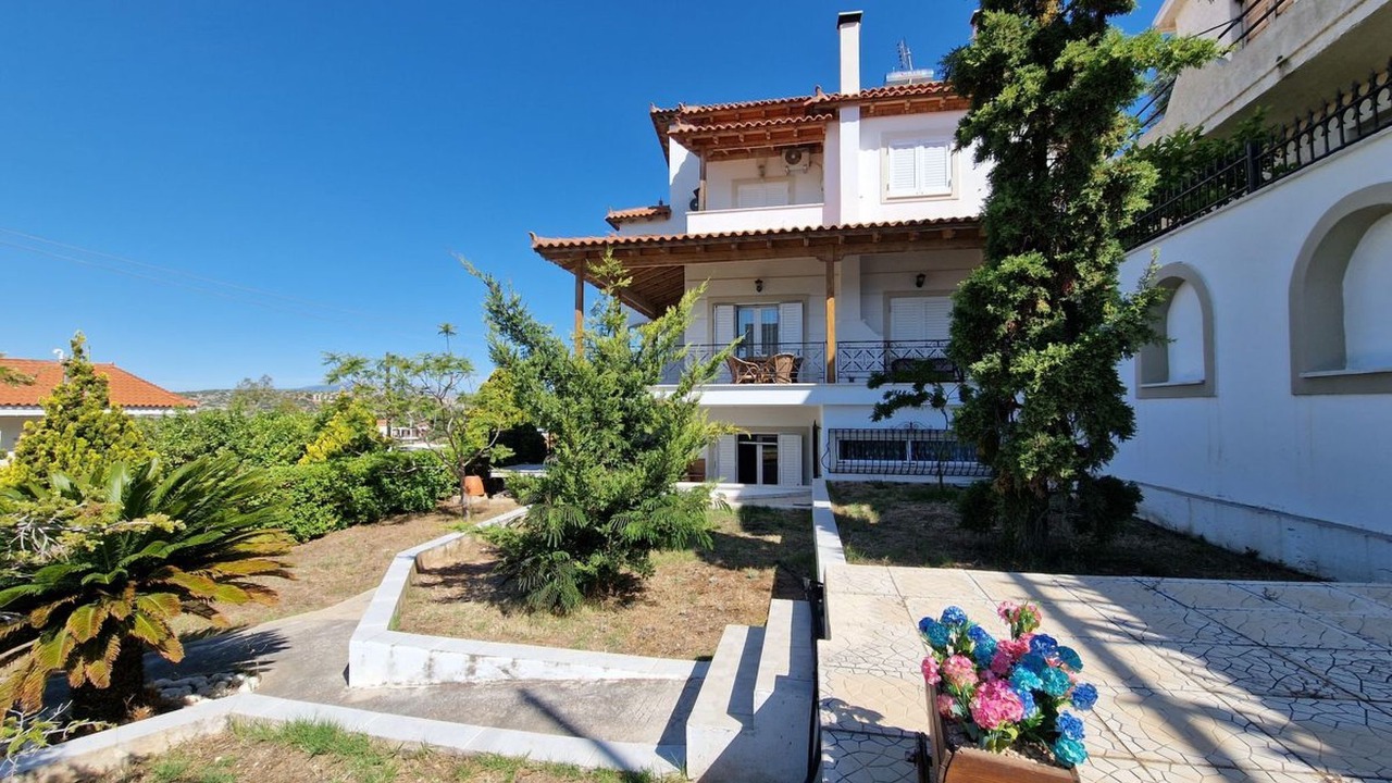 Photo of Others in Porto Rafti