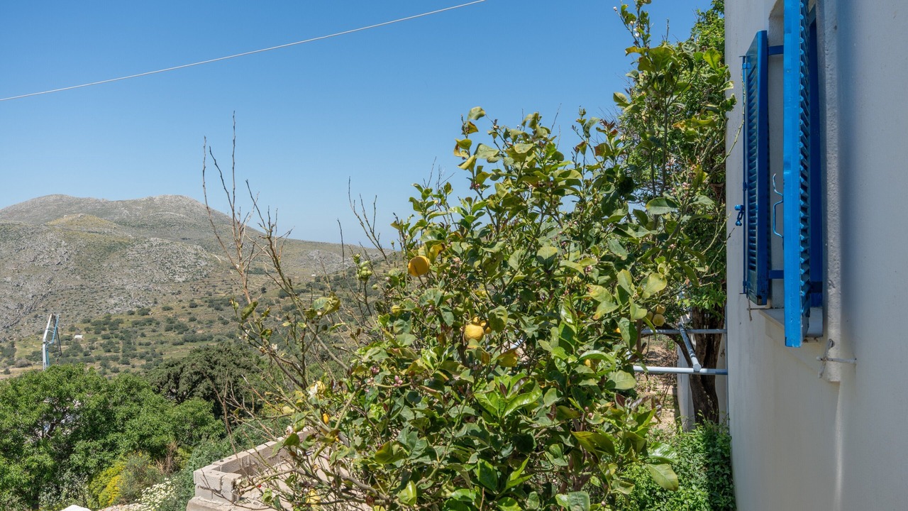 Photo of Outdoor in Aegiali