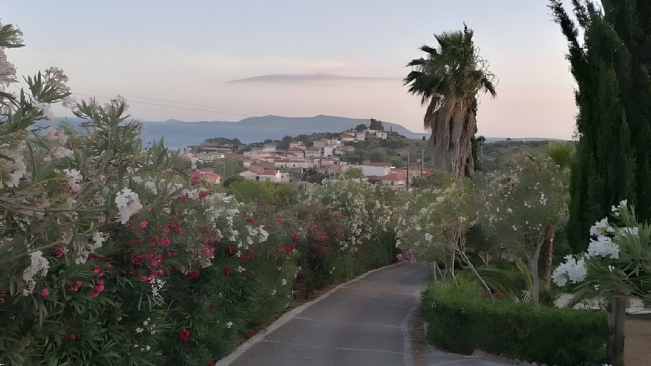 Photo of Outdoor in Foinikounta