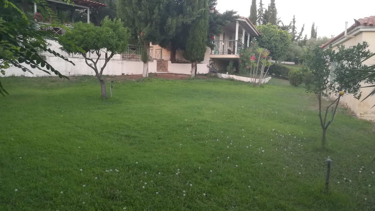Photo of Outdoor in Foinikounta