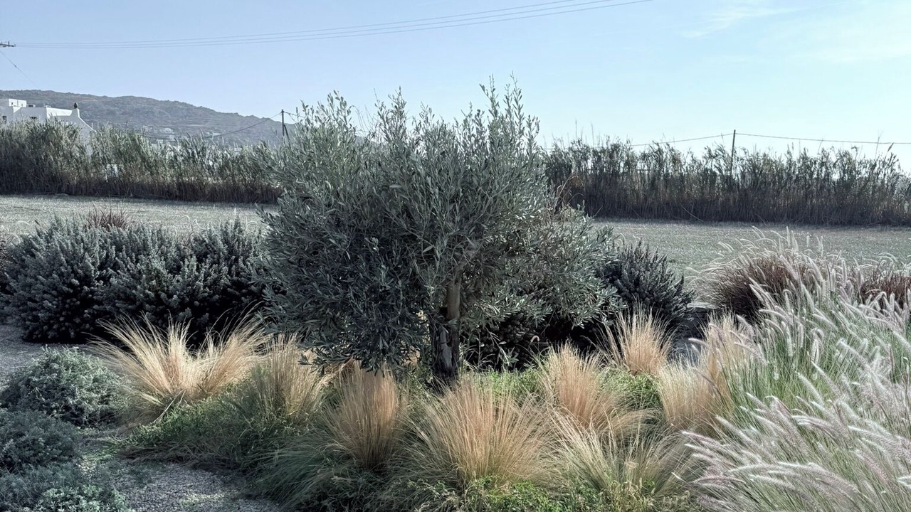 Photo of Outdoor in Plaka