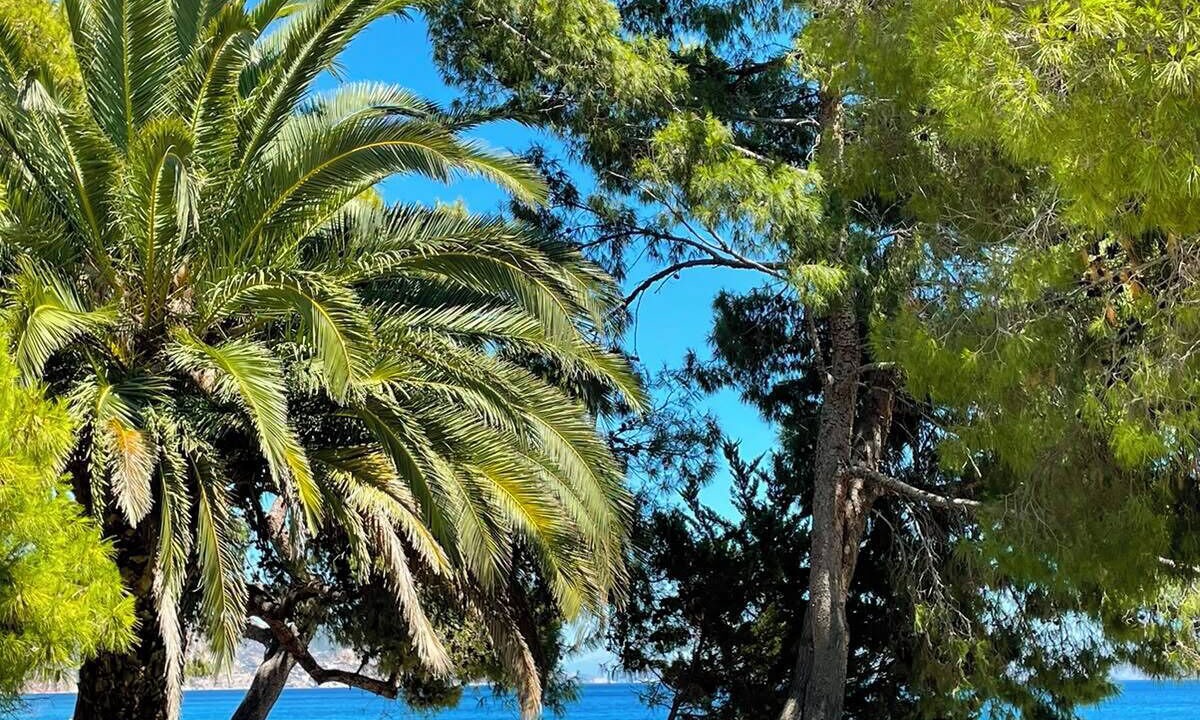 Photo of Outdoor in Kineta
