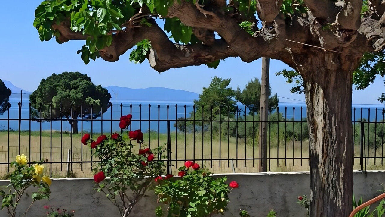 Photo of Outdoor in Gefira Mpania