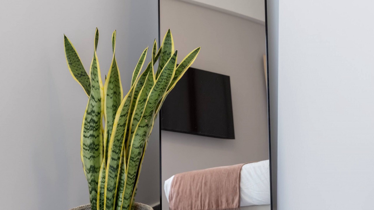 Photo of Bedroom in Kallithea