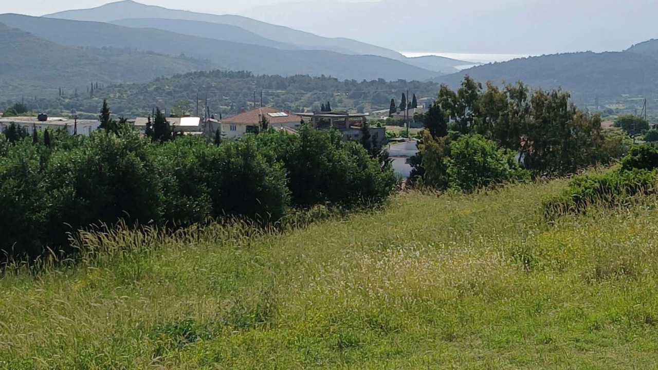 Photo of Others in Mitilinii