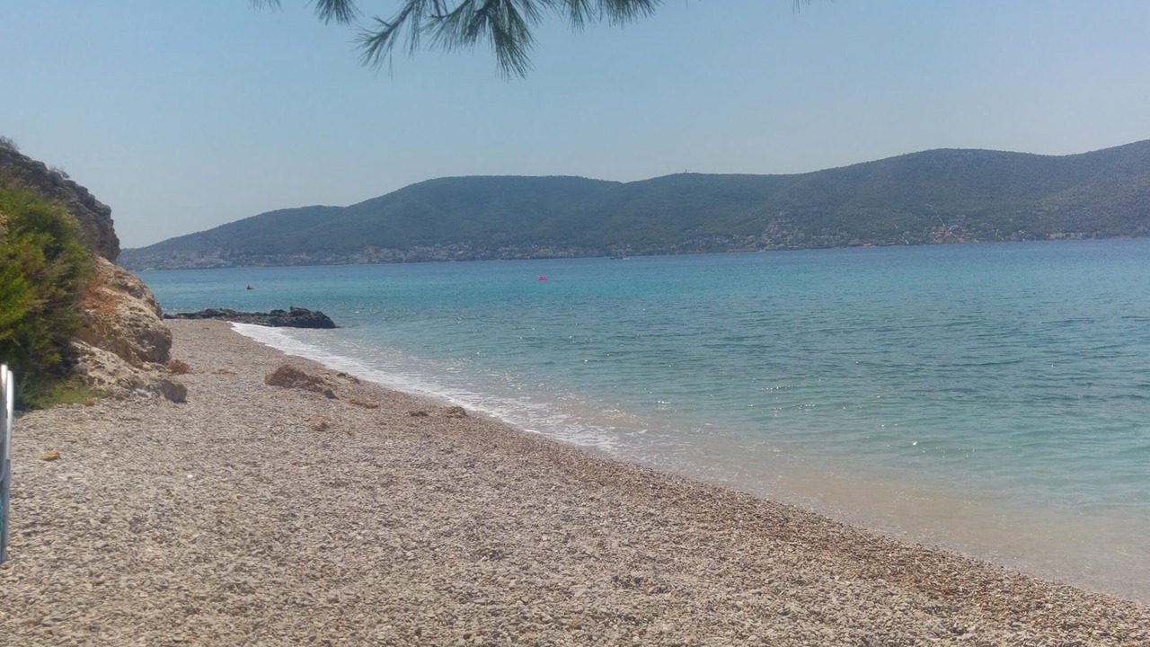 Photo of Others in Salamis