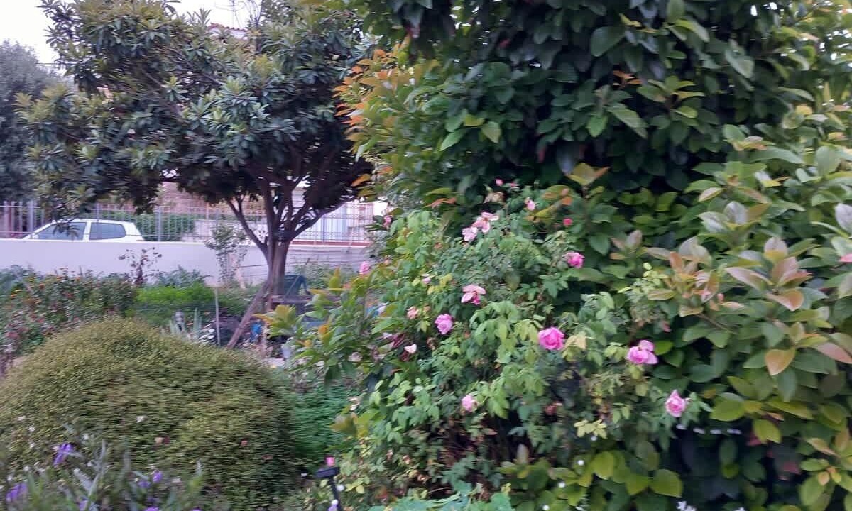 Photo of Outdoor in Paiania