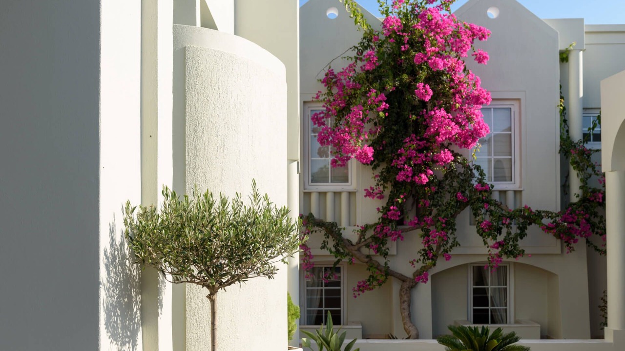 Photo of Outdoor in Santorini