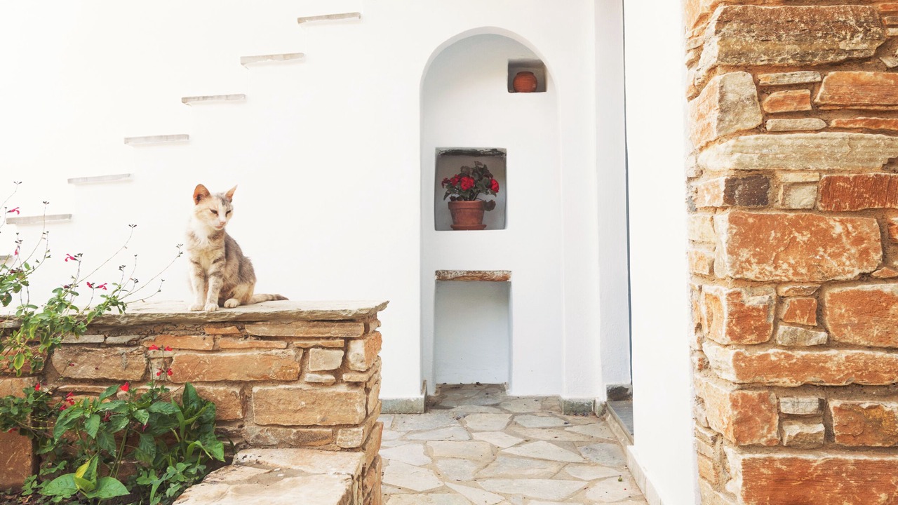 Photo of Outdoor in Agios Romanos
