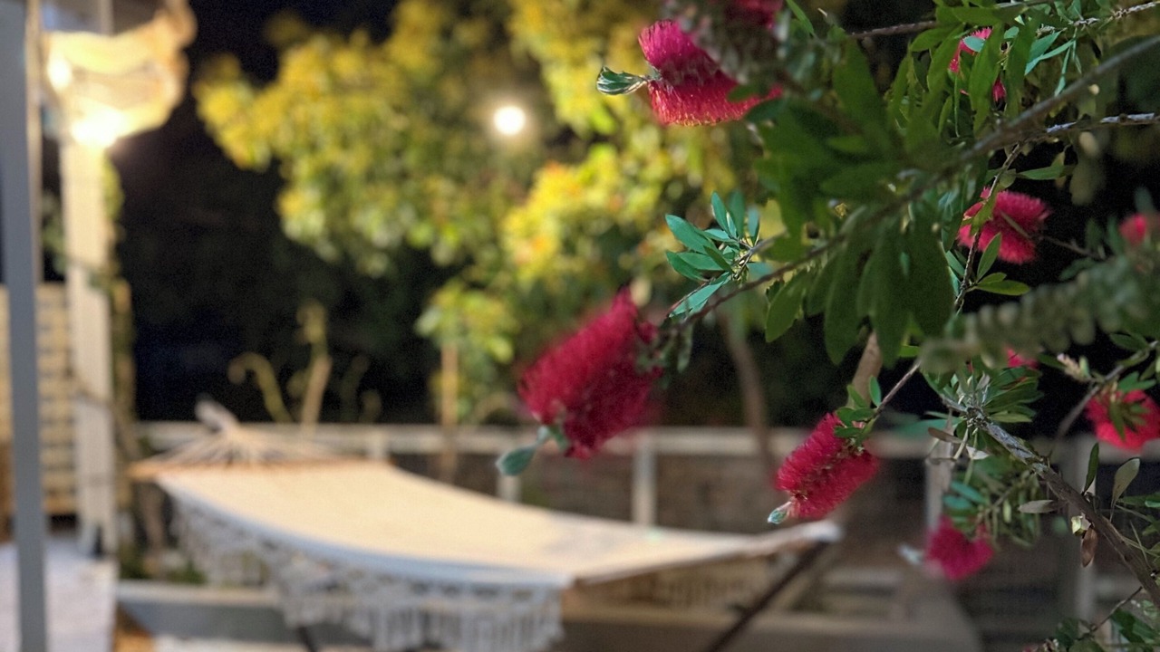 Photo of Patio Balcony in Armenistis