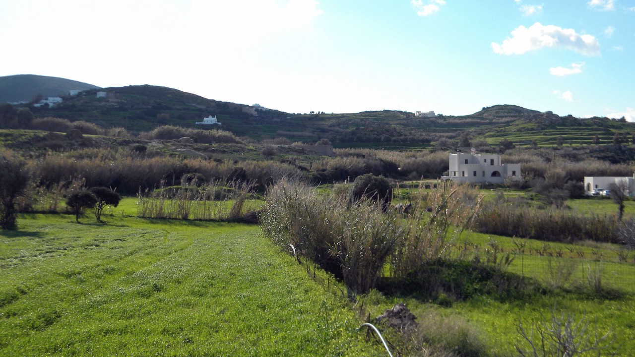 Photo of Others in Glinado