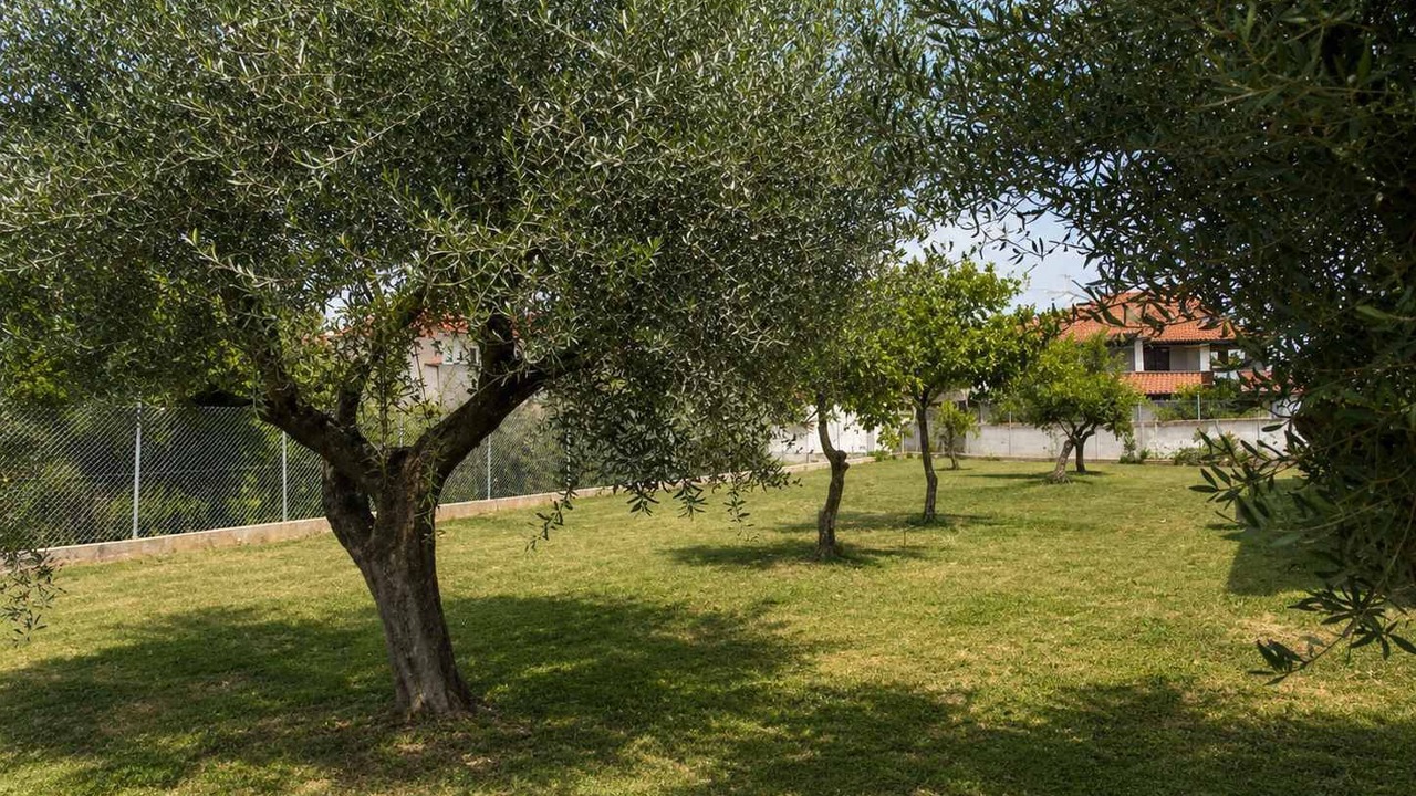 Photo of Outdoor in Anemomilos